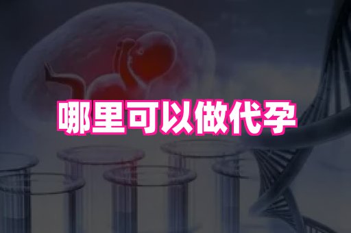 杭州助孕网站 1