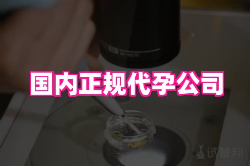 杭州助孕网站 2