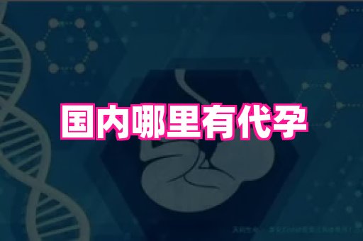 杭州助孕网站 3